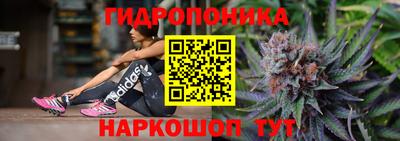 хмурый Абакан
