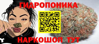 хмурый Абинск