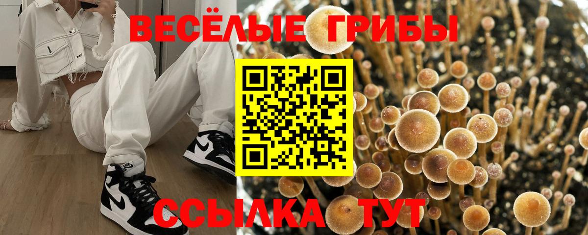 Псилоцибиновые грибы MAGIC MUSHROOMS  Псилоцибиновые грибы прущие грибы  Вход с VPN  Альметьевск 
